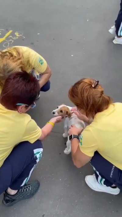 Doguinho dando amor e boa sorte pras meninas da ginástica artística nas Olimpíadas 