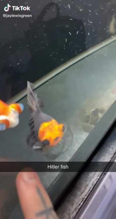 Adolf fishler