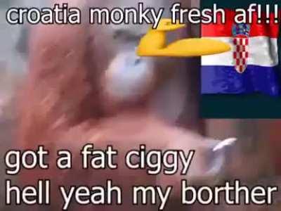 🇭🇷🐒😎