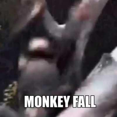 MONKEY FALL