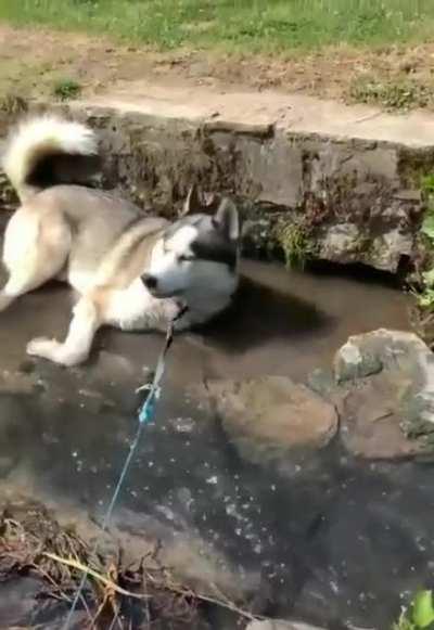 Blowing bubbles in the water teehee