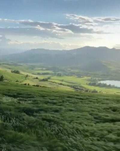 🔥 The wind makes a grassy hillside in Italy look like an ocean.