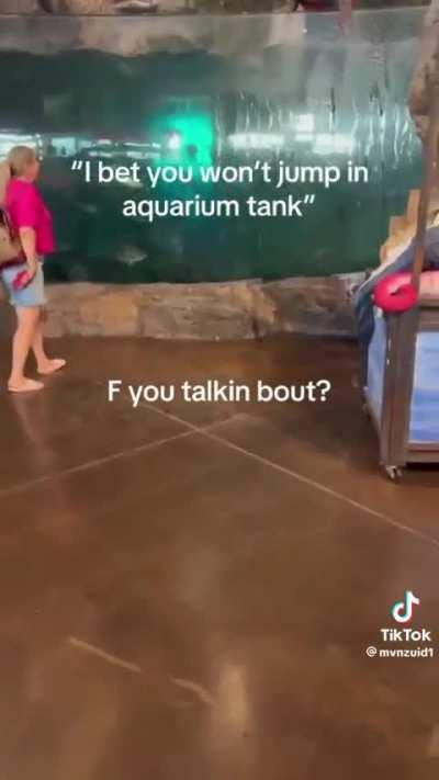 Guy jumps into aquarium 