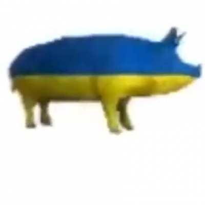 a very cool dancing ukrainian pig