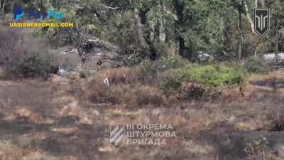 Brutal footage: Ukrainian 3rd Assault Brigade's UAV unit hit several Russian soldiers and infantry groups with FPV strike drones and corrected artillery/mortar fire on enemy positions. Kharkiv region, September 2024. NSFW!!