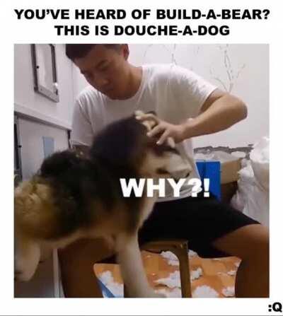 Douche-a-Dog