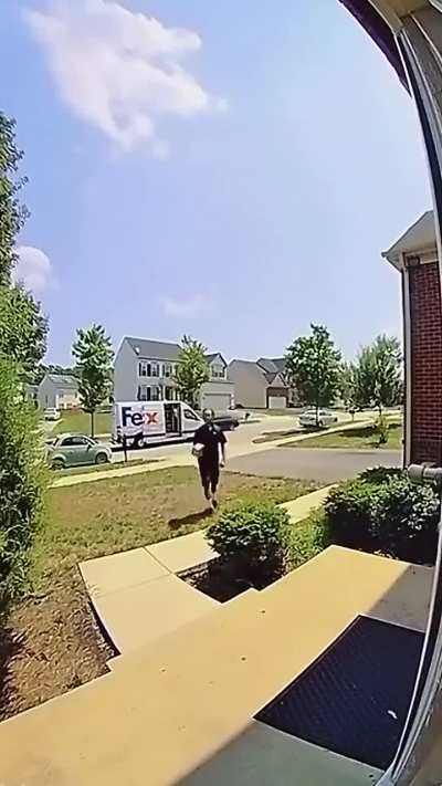 Porch pirates strike early and strike out