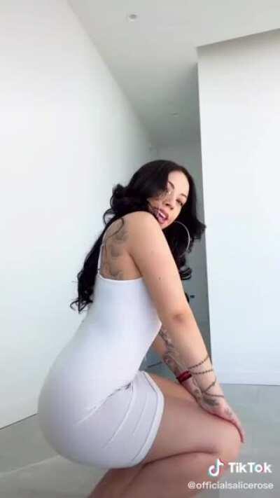 Salice rose only fans