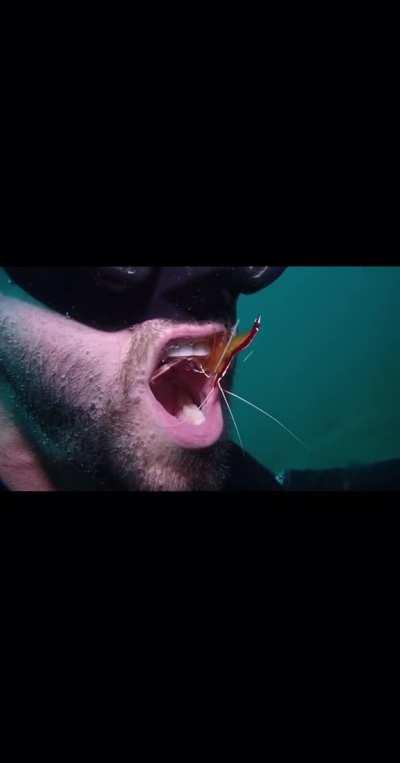 A shrimp works in a diver's open mouth to give him a free cleaning