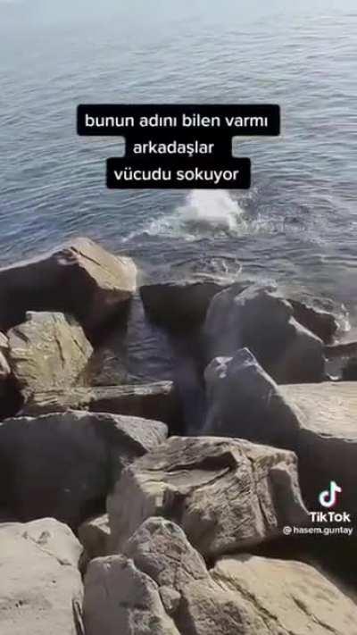 To take photos with cute Jelly Fish.