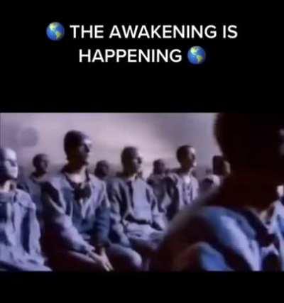 Awakening 