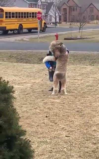 bOy KiCkEd OfF sChOoL bUs ThEN GeTs In BrUtAl FiGhT wItH mAsSiVe DoG