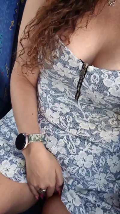 (f) more bus fun