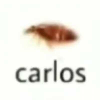 carlos