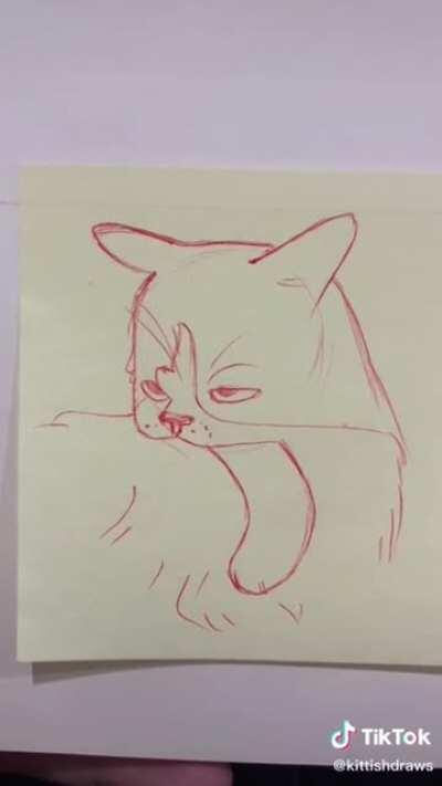 Drawing cats faces