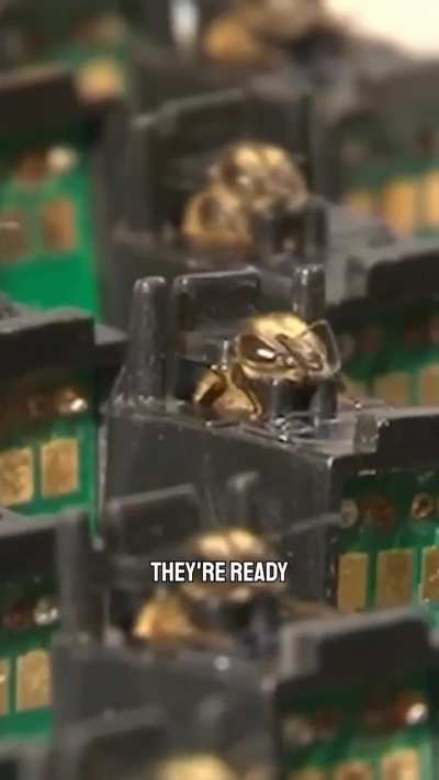 Explosives detector powered by bees