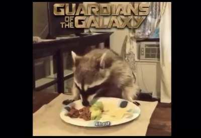 Guardians of the Galaxy 3: Rocket finally gets his tacos.