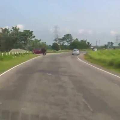 Rhino rampaging on a road in India