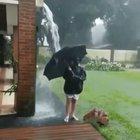 WCGW having fun with an umbrella