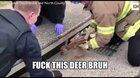 Man fuck deers 😫🤧