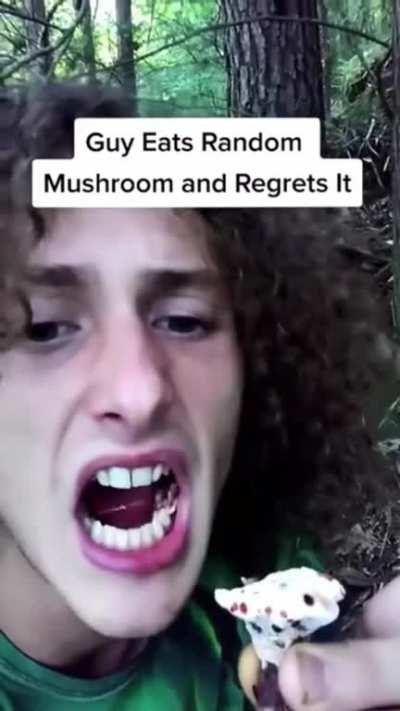 Don’t eat mushrooms in the forest