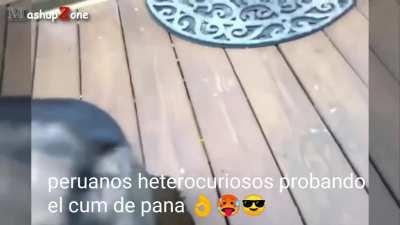 peruanos heterocuriosos 😎