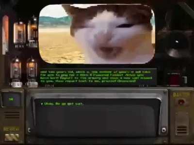 fallout cat of the day 334