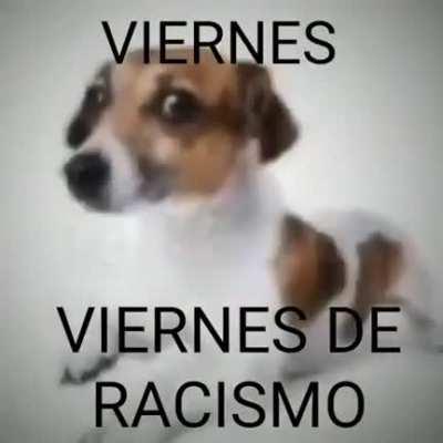 VIERNES DE RACISMO