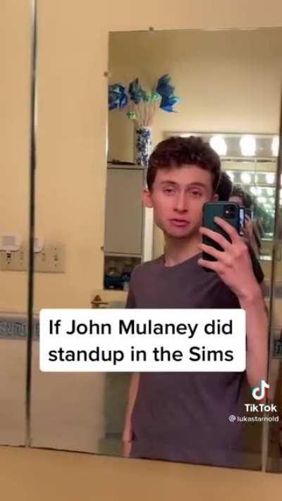 If John Mullaney did stand up in the Sims