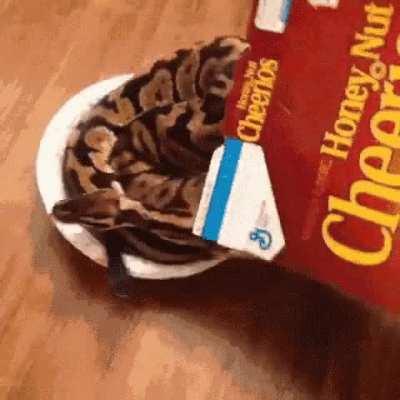 Blursed cereal