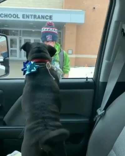 Boy meets his dog after it was lost for 2 weeks