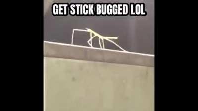 Get stick bugged