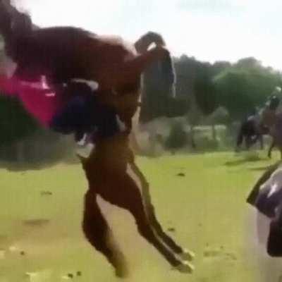 The horse had seen enough