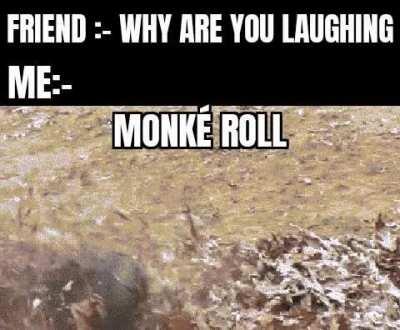 Monké Doesn't stop rolling :(