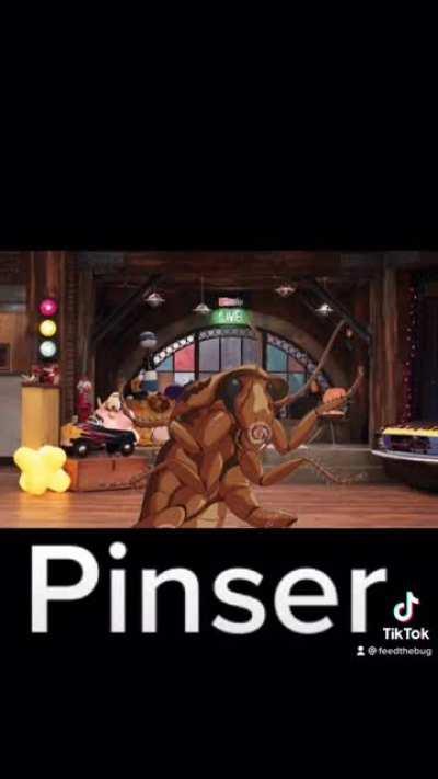 pinser from icarly