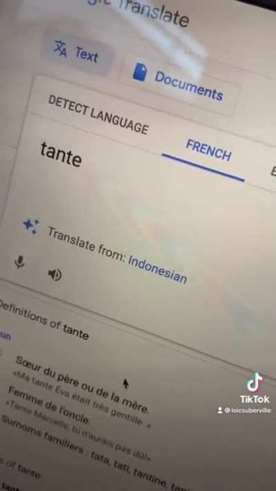 The French language has many words that sound similar