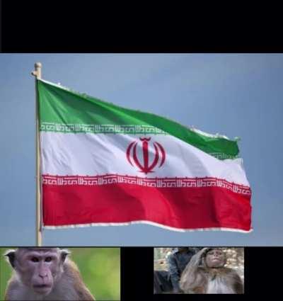 Holy shit!!!!the Iranian anthem???😲😲😲😲😲🤯🤯🤯🤯😱😱😱😱😱🇮🇷🇮🇷🇮🇷🤲🤲