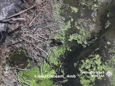 A Russian soldier is hit twice by Ukrainian drone-dropped munitions, and lies bleeding in a swamp.