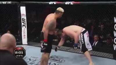 45 seconds of Mark Hunt gadooshing his opponents