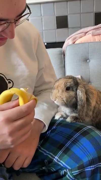 WFH means Liza and I get to share an afternoon nanner!