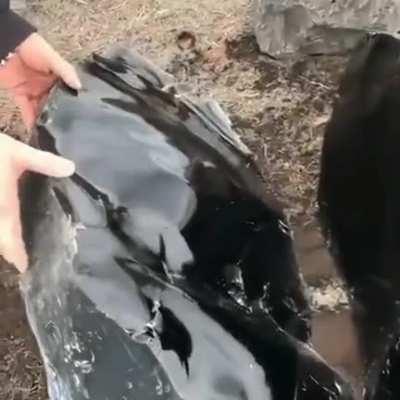 An Enormous Obsidian Stone Split in Half.