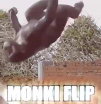 Monki flip