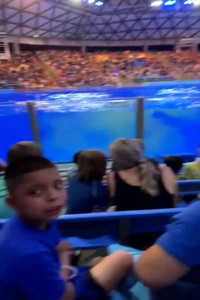 Unexpected Surprise at SeaWorld