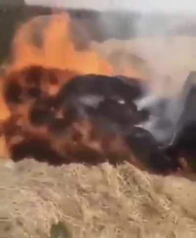 WCGW trying to get unstuck from dry hay