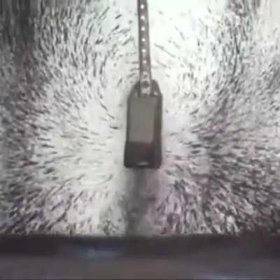 Magnetic field in action