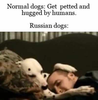 In Soviet Russia, the dog pets you.