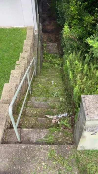 Cleaning up an overgrown stairwell