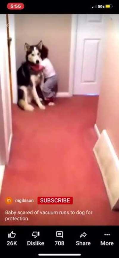 baby scared of vacuum runs to dog for protection