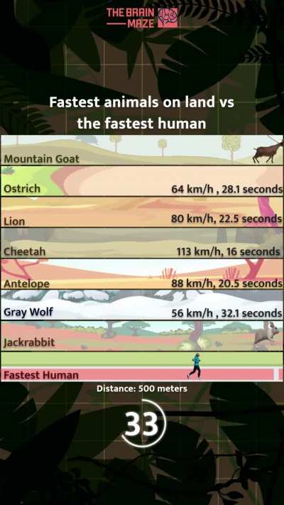 Fastest animals on land vs the fastest human