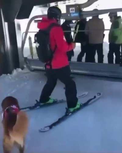 Smart snow patrol doggo gets on the ski lift.